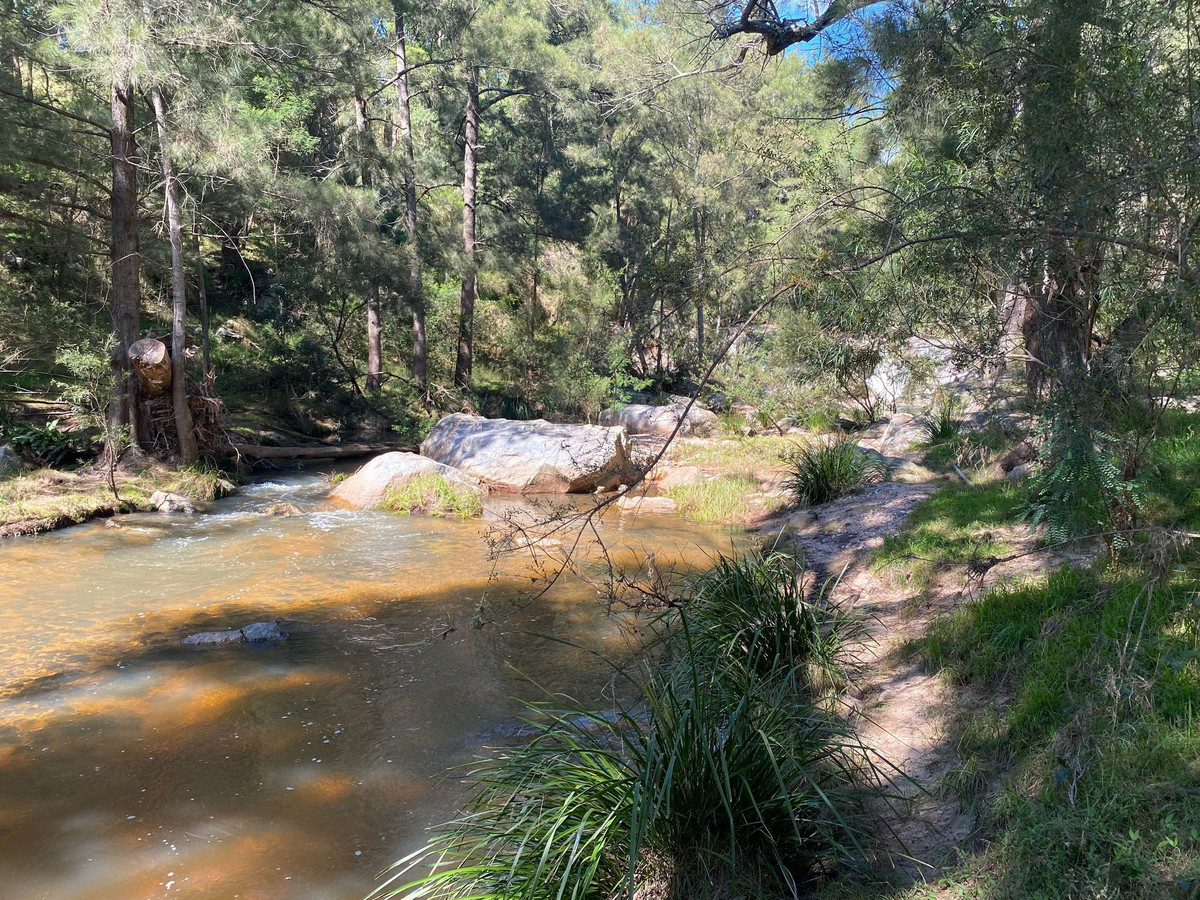 50 House Creek Road, Brogo - Thumbnail 8