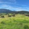 50 House Creek Road, Brogo, NSW 2550 AUS