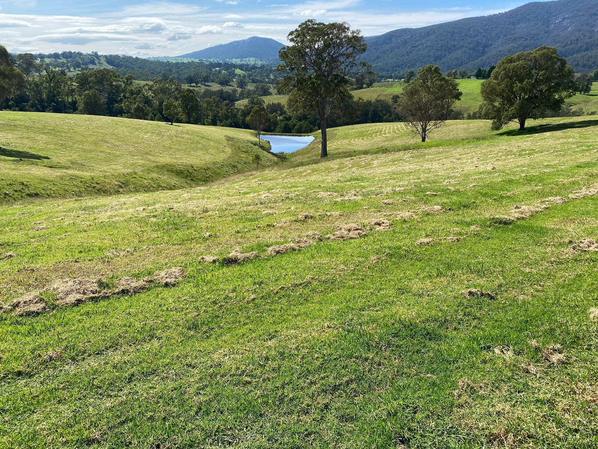 50 House Creek Road, Brogo - Thumbnail 6