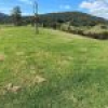 50 House Creek Road, Brogo, NSW 2550 AUS