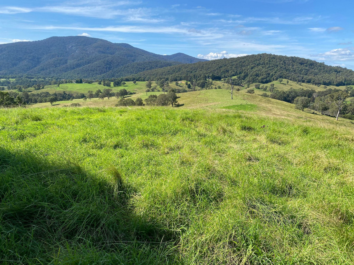 50 House Creek Road, Brogo - Thumbnail 3