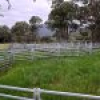 50 House Creek Road, Brogo, NSW 2550 AUS