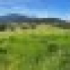 50 House Creek Road, Brogo, NSW 2550 AUS