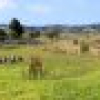 582 West Kameruka Road, Kameruka, NSW 2550 AUS