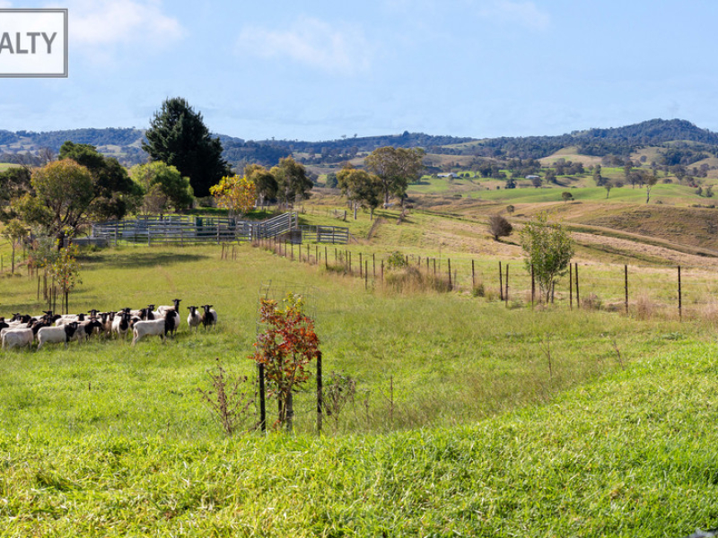582 West Kameruka Road, Kameruka, NSW 2550 AUS