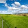 582 West Kameruka Road, Kameruka, NSW 2550 AUS