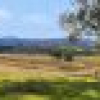 582 West Kameruka Road, Kameruka, NSW 2550 AUS