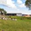 582 West Kameruka Road, Kameruka, NSW 2550 AUS