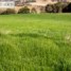 582 West Kameruka Road, Kameruka, NSW 2550 AUS