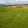 582 West Kameruka Road, Kameruka, NSW 2550 AUS