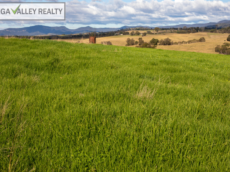 582 West Kameruka Road, Kameruka, NSW 2550 AUS