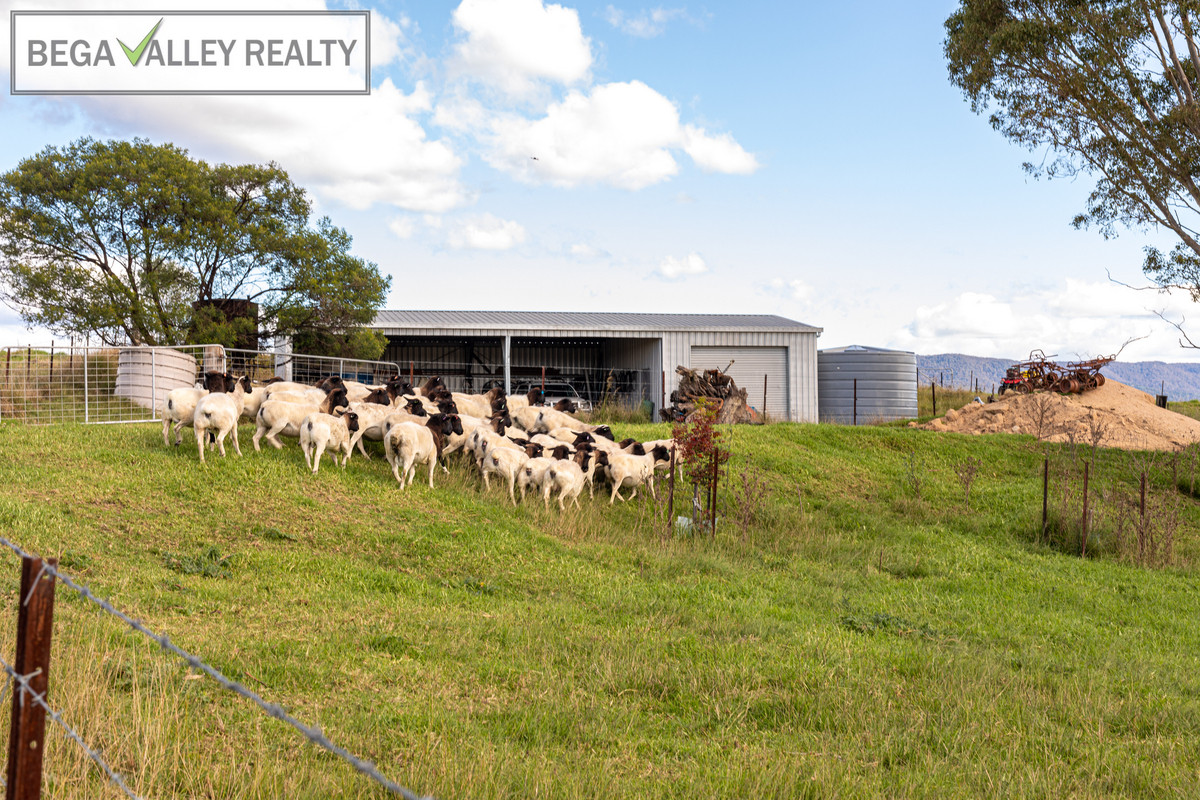 582 West Kameruka Road, Kameruka - Thumbnail 3
