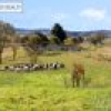 582 West Kameruka Road, Kameruka, NSW 2550 AUS