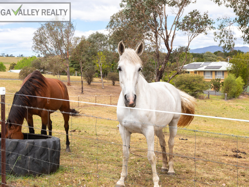 5 Springfield Road, Kameruka, NSW 2550 AUS
