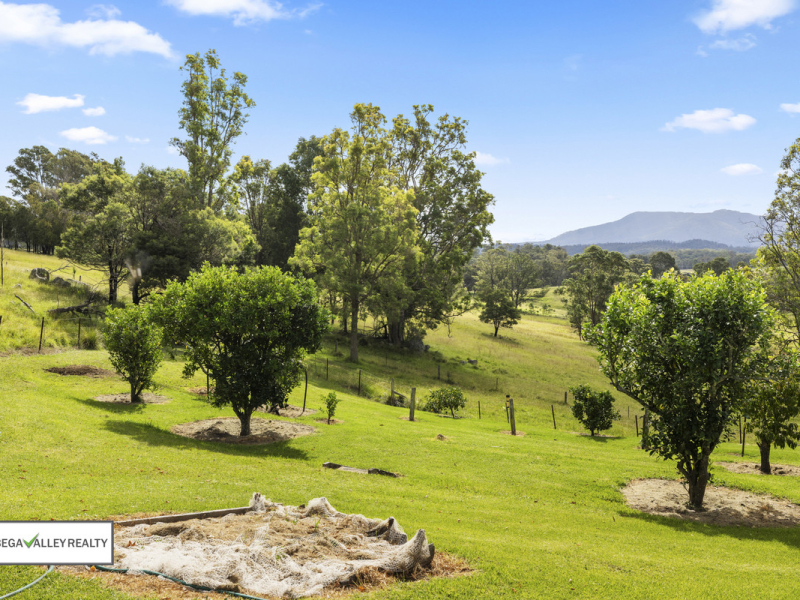 43 Lyrebird Ridge Road, Coolagolite, NSW 2550 AUS