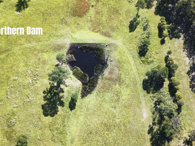 43 Lyrebird Ridge Road, Coolagolite, NSW 2550 AUS