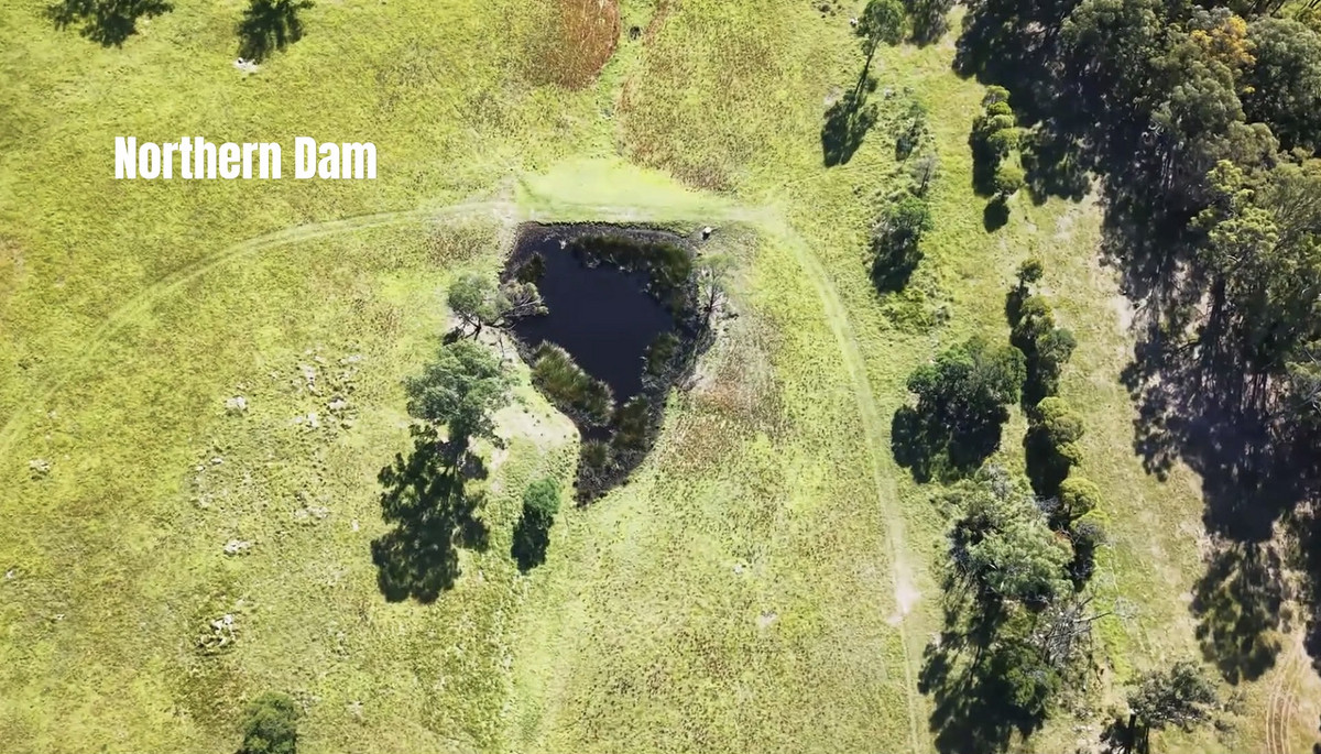 43 Lyrebird Ridge Road, Coolagolite - Thumbnail 4