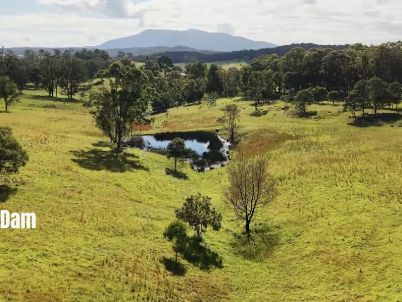 43 Lyrebird Ridge Road, Coolagolite, NSW 2550 AUS