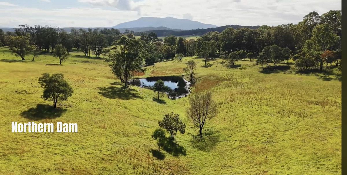 43 Lyrebird Ridge Road, Coolagolite - Thumbnail 3