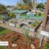 6 Gordon Street, Bega, NSW 2550 AUS
