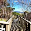 109 Slaters Lane, Candelo, NSW 2550 AUS