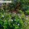 8 Bega Street, Bega, NSW 2550 AUS