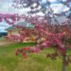 62 Murrays Flat Road, Doctor George Mountain, NSW 2550 AUS