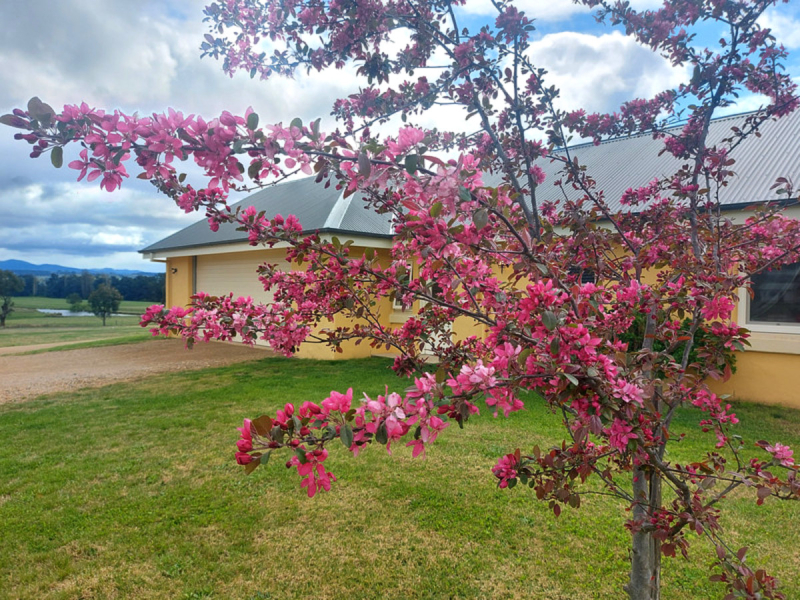 62 Murrays Flat Road, Doctor George Mountain, NSW 2550 AUS