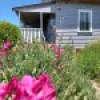 40 Auckland Street, Candelo, NSW 2550 AUS