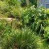 40 Auckland Street, Candelo, NSW 2550 AUS