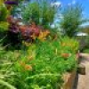 40 Auckland Street, Candelo, NSW 2550 AUS
