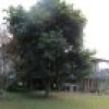 289 Coopers Gully Road, Coopers Gully, NSW 2550 AUS