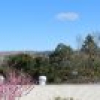 221 Newtown Road, Bega, NSW 2550 AUS