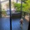 51 Kowara Crescent, Merimbula, NSW 2548 AUS