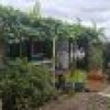 7 Girraween Crescent, Bega, NSW 2550 AUS