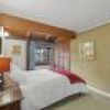 260 Daisy Hill Road, Bega, NSW 2550 AUS