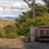 461 Dorrigo Road, Brogo, NSW 2550 AUS