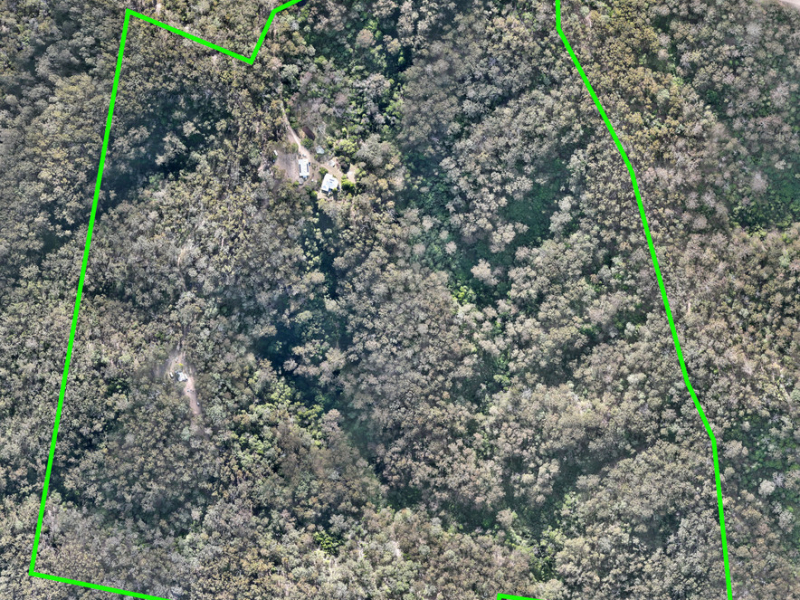 461 Dorrigo Road, Brogo, NSW 2550 AUS