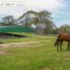 568 Coopers Gully Road, Bega, NSW 2550 AUS