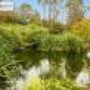 19 Broad Street, Bemboka, NSW 2550 AUS