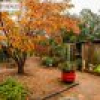 19 Broad Street, Bemboka, NSW 2550 AUS