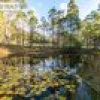 100 Dorrigo Road, Brogo, NSW 2550 AUS