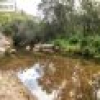 100 Dorrigo Road, Brogo, NSW 2550 AUS