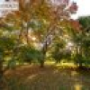120 Old Soldiers Road, Wolumla, NSW 2550 AUS