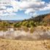 246 McGraths Road, Lochiel, NSW 2549 AUS