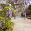246 McGraths Road, Lochiel, NSW 2549 AUS