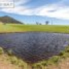 169 Cochranes Road, Wolumla, NSW 2550 AUS