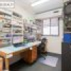 119 Gipps Street, Bega, NSW 2550 AUS