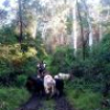 132 Clarkes Road, Greendale, NSW 2550 AUS