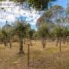 15 Eagle Lane, Bega, NSW 2550 AUS